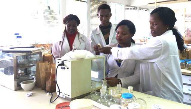 Students on attachment doing proximate analysis in the Nutrition Laboratory