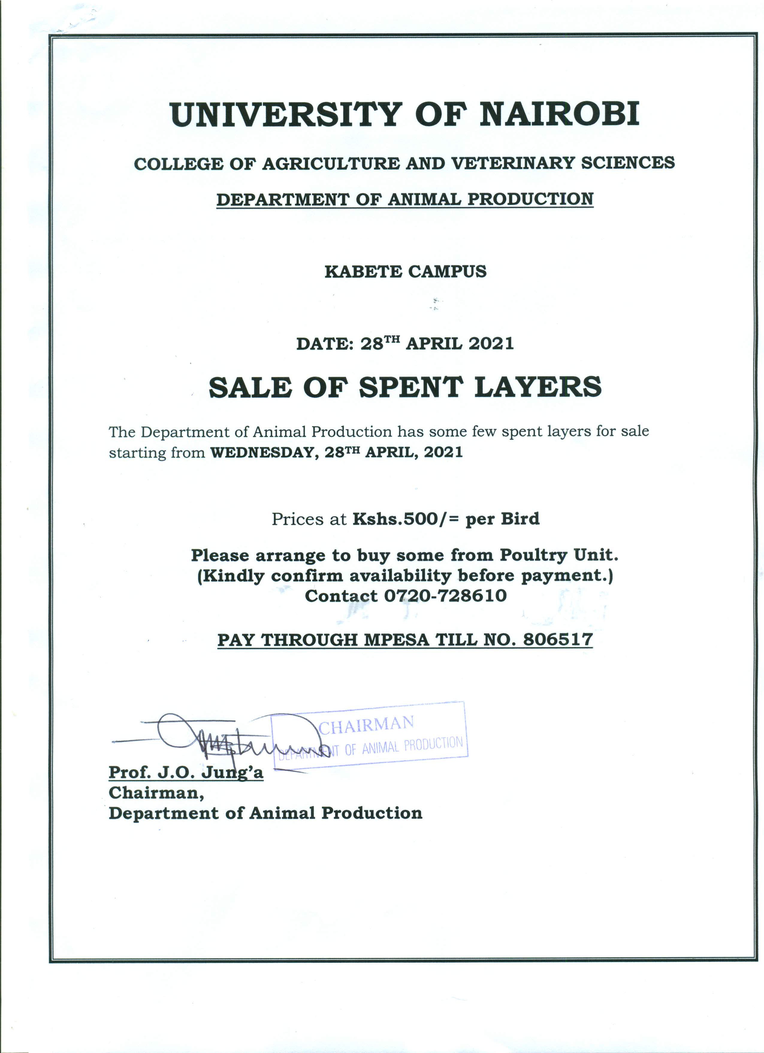 Sale of spent layers chicken