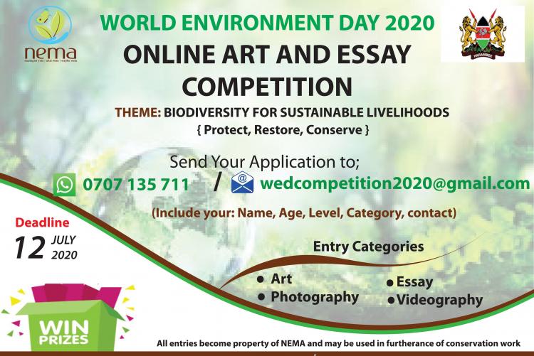 NEMA online essay competition