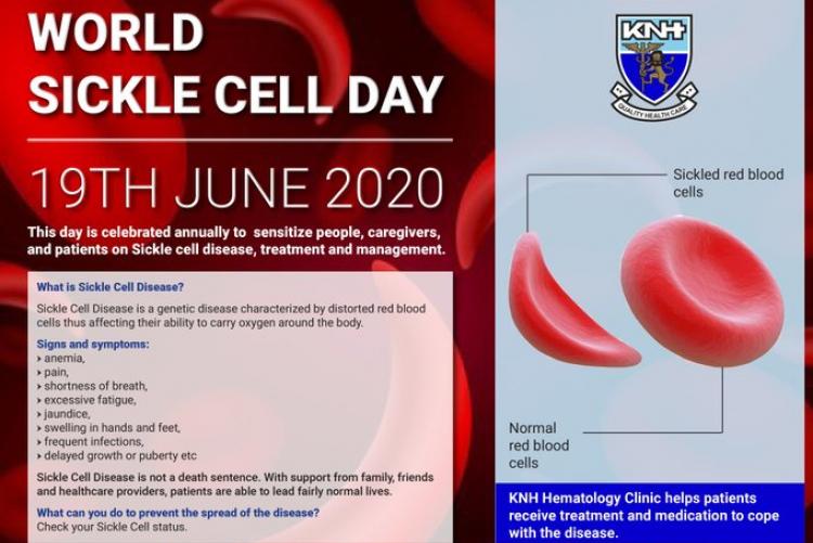 World sickle cell day