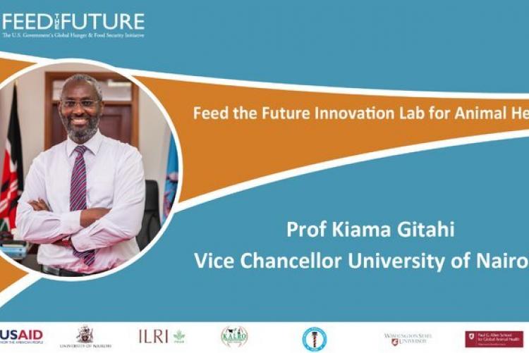 Feed the future innovation lab for animal health