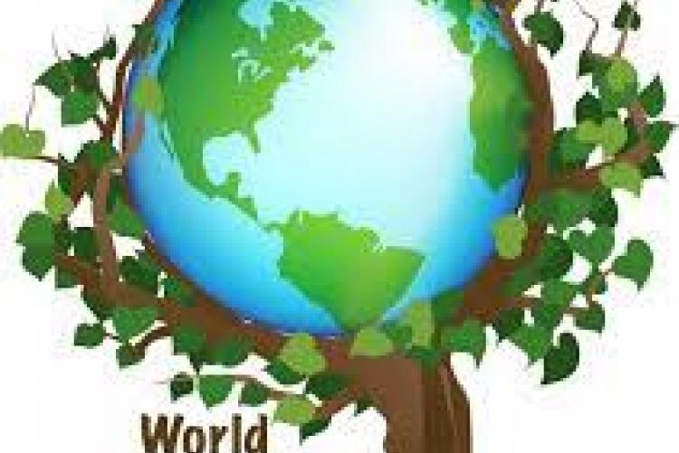 world