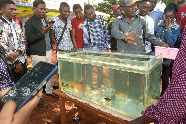 Students being tought on types of Ornamental fish