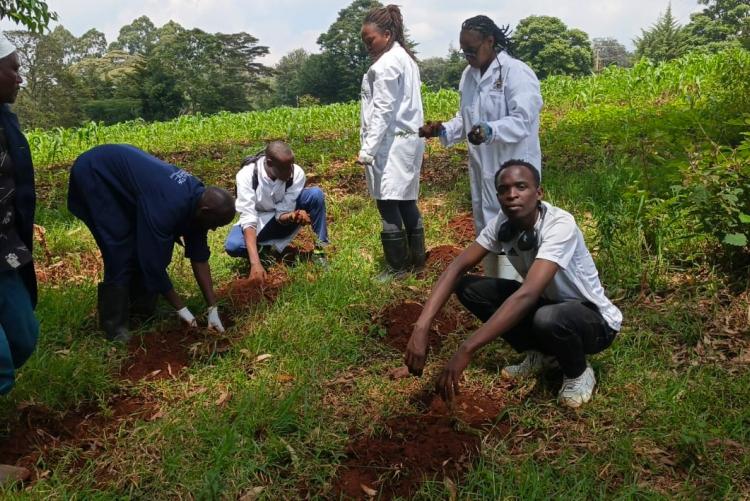 Aninal Production Tree Planting 2026