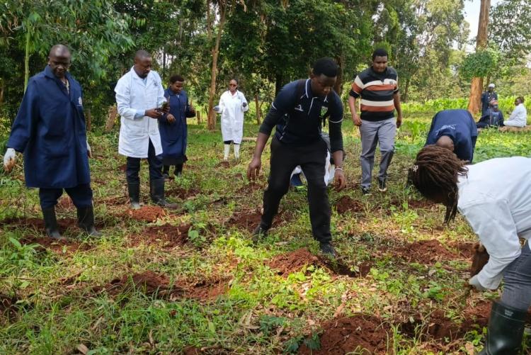 Aninal Production Tree Planting 2026