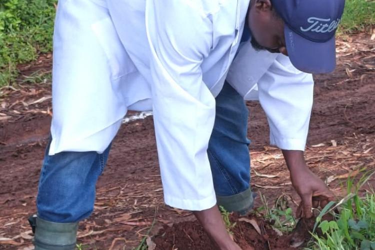 Aninal Production Tree Planting 2026