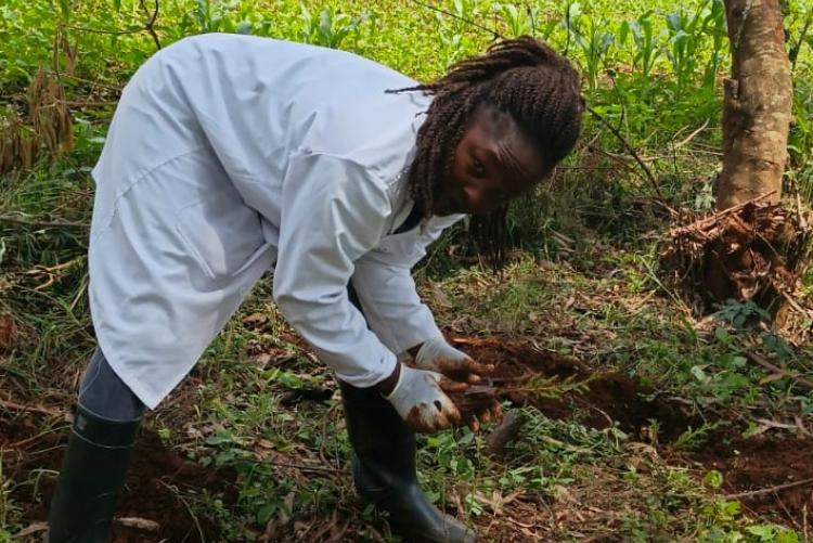Aninal Production Tree Planting 2026