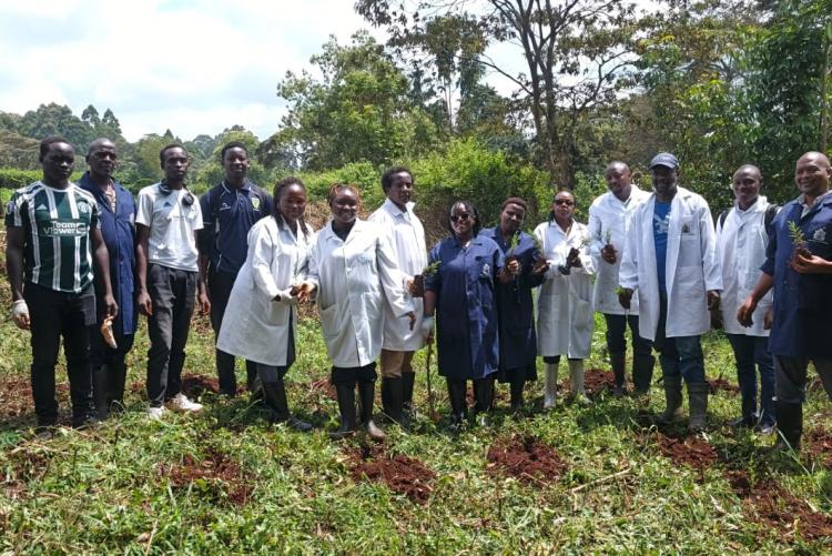 Aninal Production Tree Planting 2026