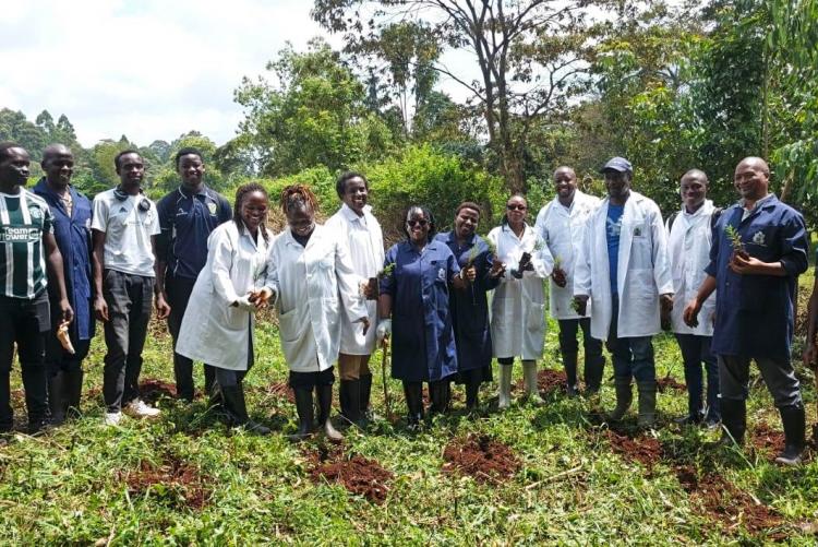 Aninal Production Tree Planting 2026