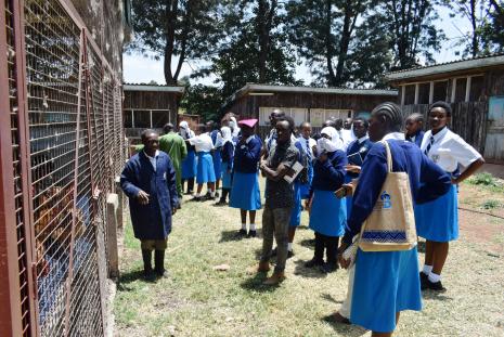 Pangani Girls at UoN poultry unit