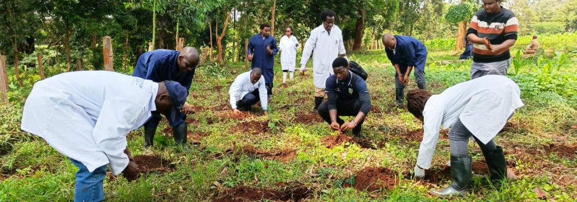 Tree Planting Exercise by the Department of Animal Production