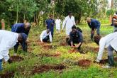 Aninal Production Tree Planting 2026