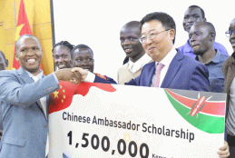 Chinese scholarships