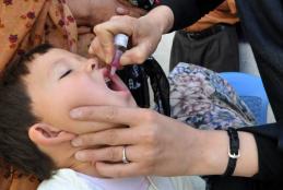 An existing polio vaccine that could help protect against coronavirus, top experts .