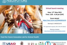 Feed the future innovation lab for animal health