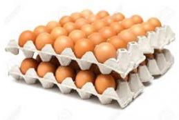 trays of eggs
